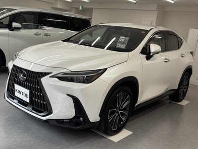 2023 Lexus NX 照片 1
