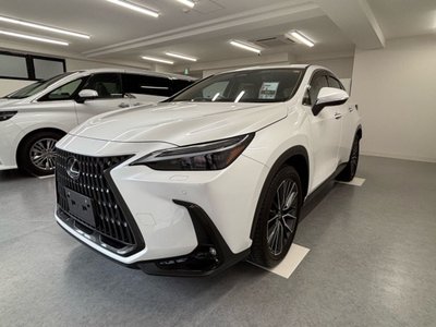 2023 Lexus NX 缩略图 20
