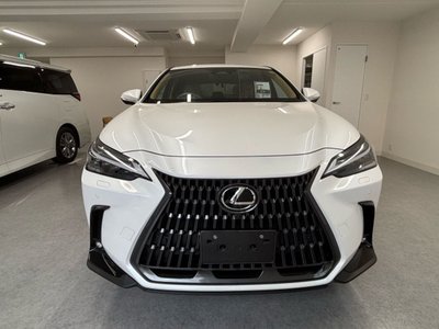 2023 Lexus NX 缩略图 12