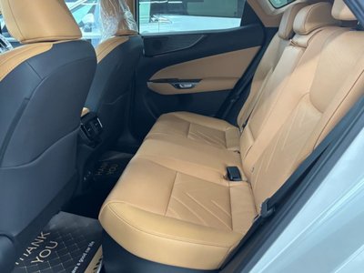 2023 Lexus NX 缩略图 46