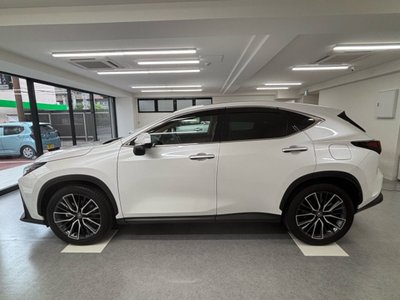 2023 Lexus NX 缩略图 15