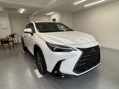 2023 Lexus NX 缩略图 16