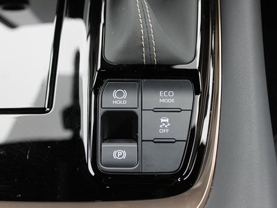 2024 TOYOTA ALPHARD 缩略图 30