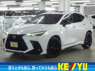 LEXUS NX - 1
