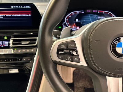 2020 BMW 8 SERIES GRAN COUPE — миниатюра 39