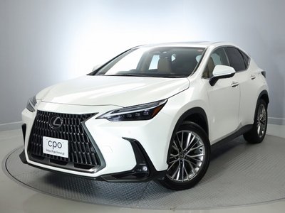 LEXUS NX - 10