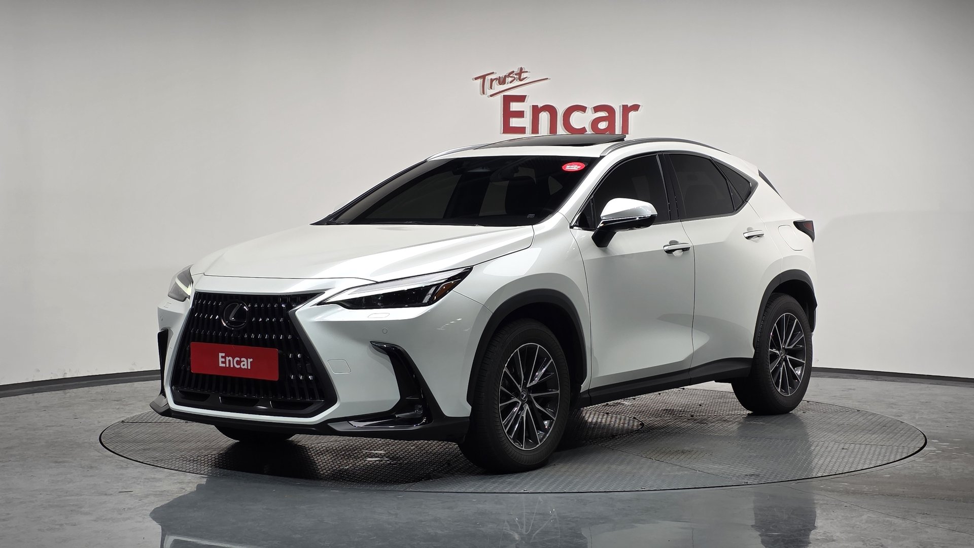 LEXUS NX - View 1