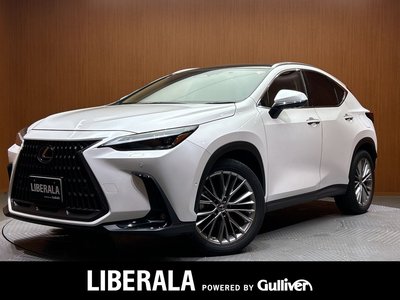 2022 Lexus NX 照片 1