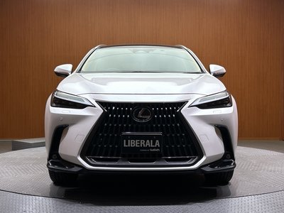 2022 Lexus NX — миниатюра 52