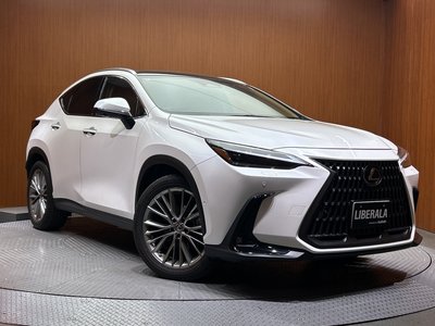2022 Lexus NX — миниатюра 56