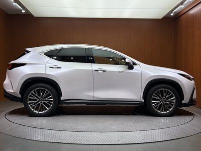 2022 Lexus NX — миниатюра 54