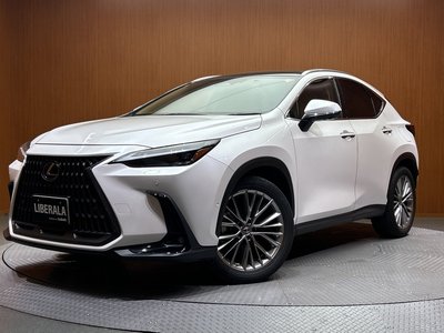 2022 Lexus NX — миниатюра 57