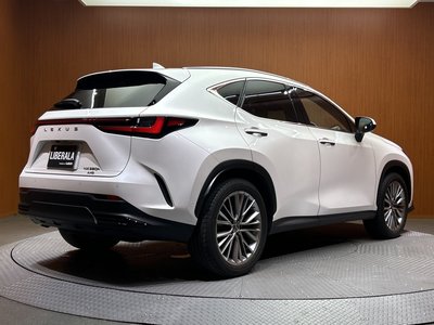 2022 Lexus NX — миниатюра 58