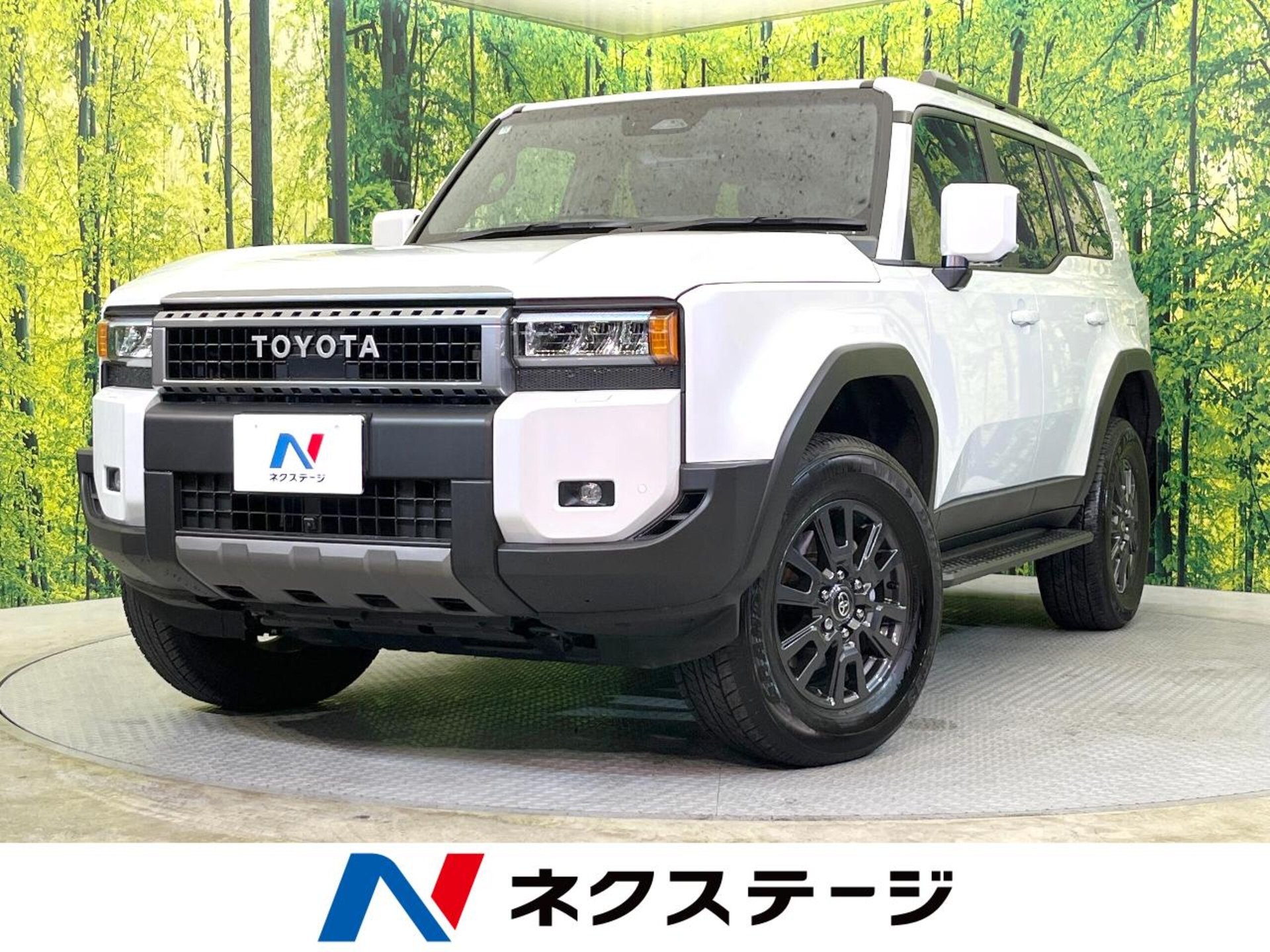 TOYOTA LAND CRUISER 250 - View 1