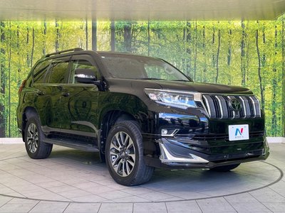 2021 Toyota LAND CRUISER PRADO — миниатюра 16