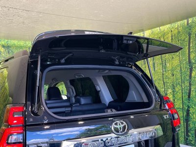 2021 Toyota LAND CRUISER PRADO — миниатюра 38