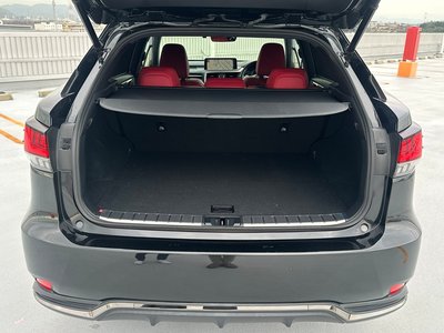 2021 Lexus RX 缩略图 70
