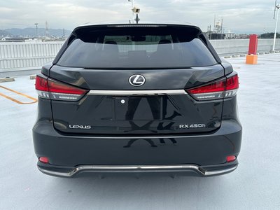 2021 Lexus RX 缩略图 48