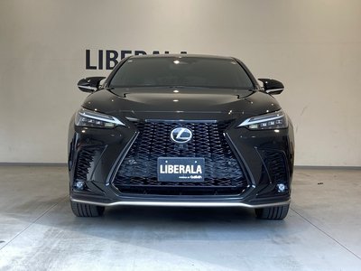 LEXUS NX - 10