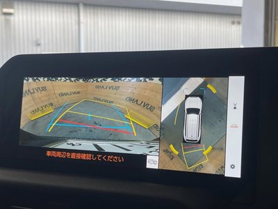 TOYOTA LAND CRUISER 250 - 5