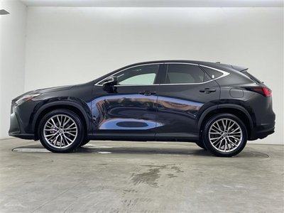 صورة مصغرة 31 لـ 2023 Lexus NX