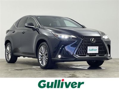 2023 Lexus NX 照片 1