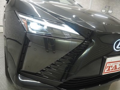 2023 Lexus RZ thumbnail 13