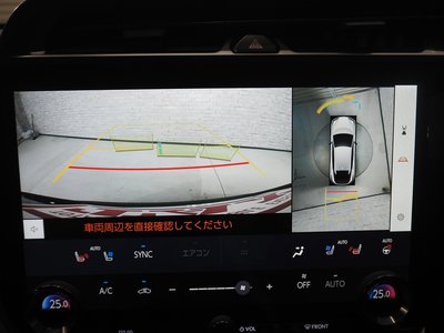 2023 Lexus RZ thumbnail 40