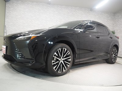 2023 Lexus RZ thumbnail 64