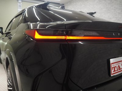 2023 Lexus RZ thumbnail 16
