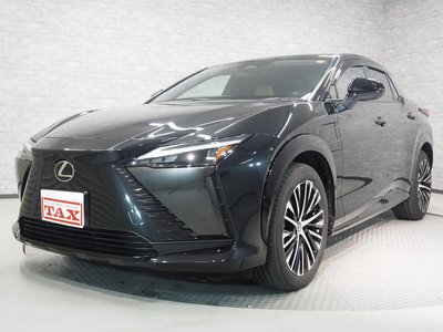 2023 Lexus RZ thumbnail 66
