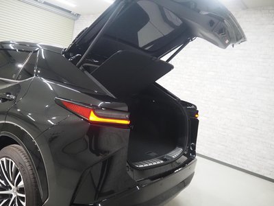 2023 Lexus RZ thumbnail 59