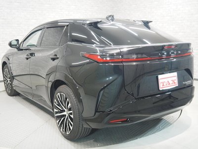 2023 Lexus RZ photo 6