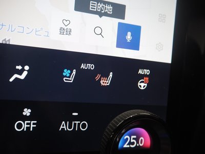 2023 Lexus RZ thumbnail 41