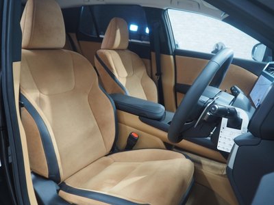 2023 Lexus RZ thumbnail 30