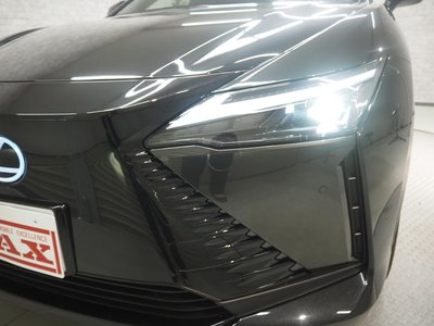 2023 Lexus RZ thumbnail 14