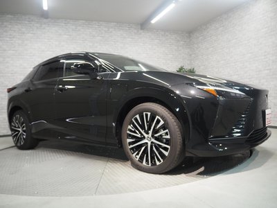 2023 Lexus RZ thumbnail 63