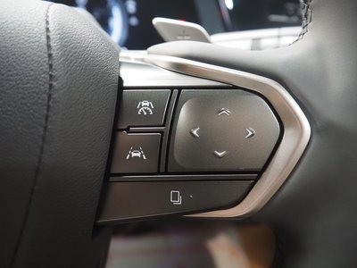 2023 Lexus RZ thumbnail 53