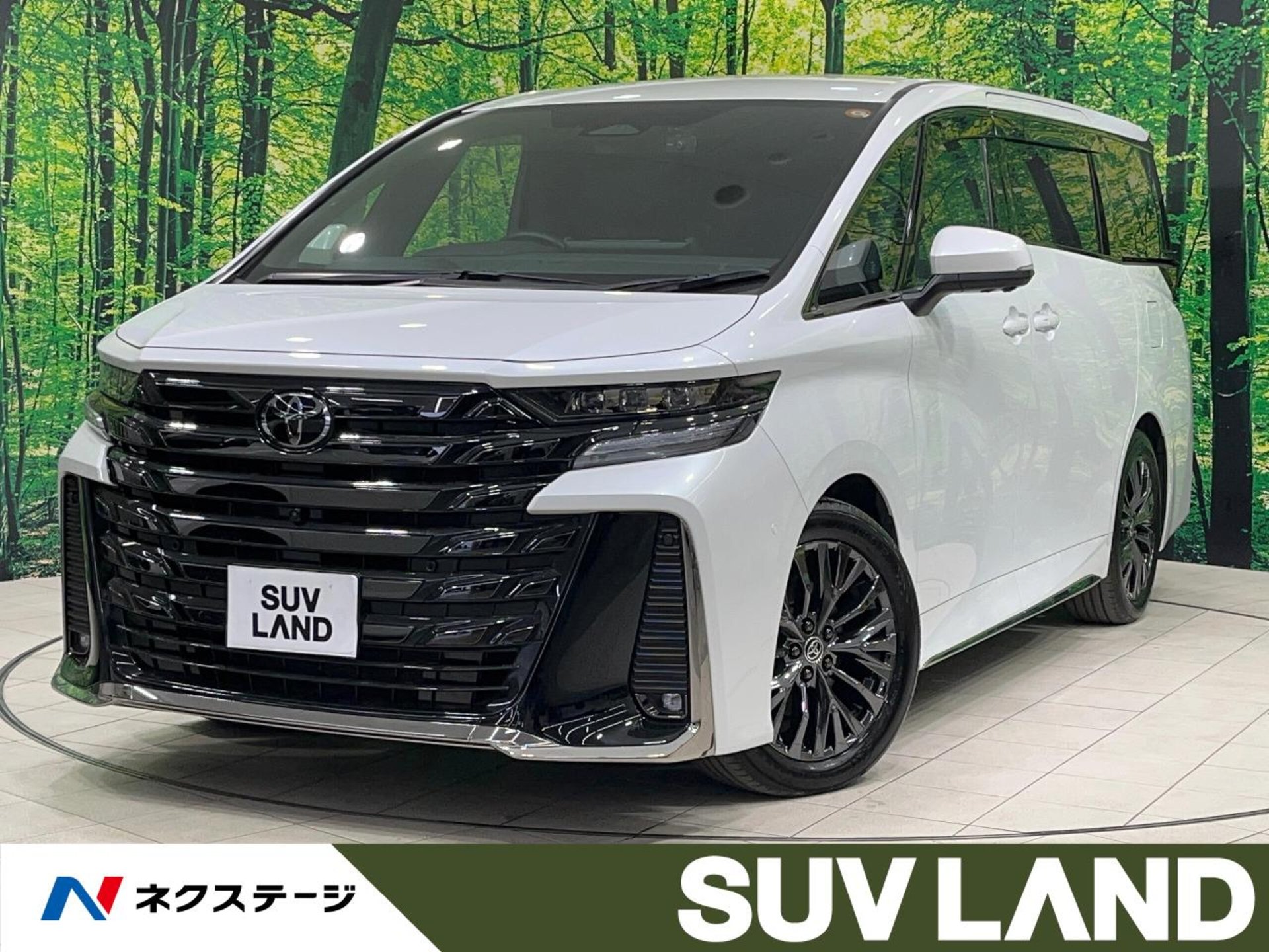 TOYOTA VELLFIRE - View 1