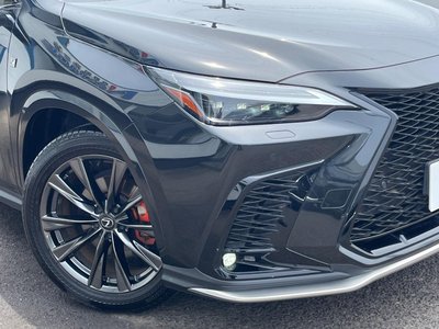 2023 Lexus NX 缩略图 12