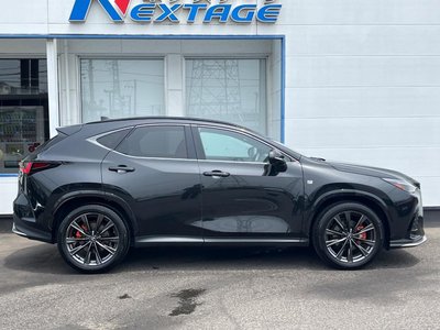 2023 Lexus NX 缩略图 29