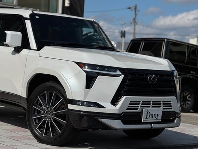 2025 Lexus GX 缩略图 18