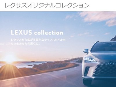 صورة مصغرة 41 لـ 2024 Lexus NX