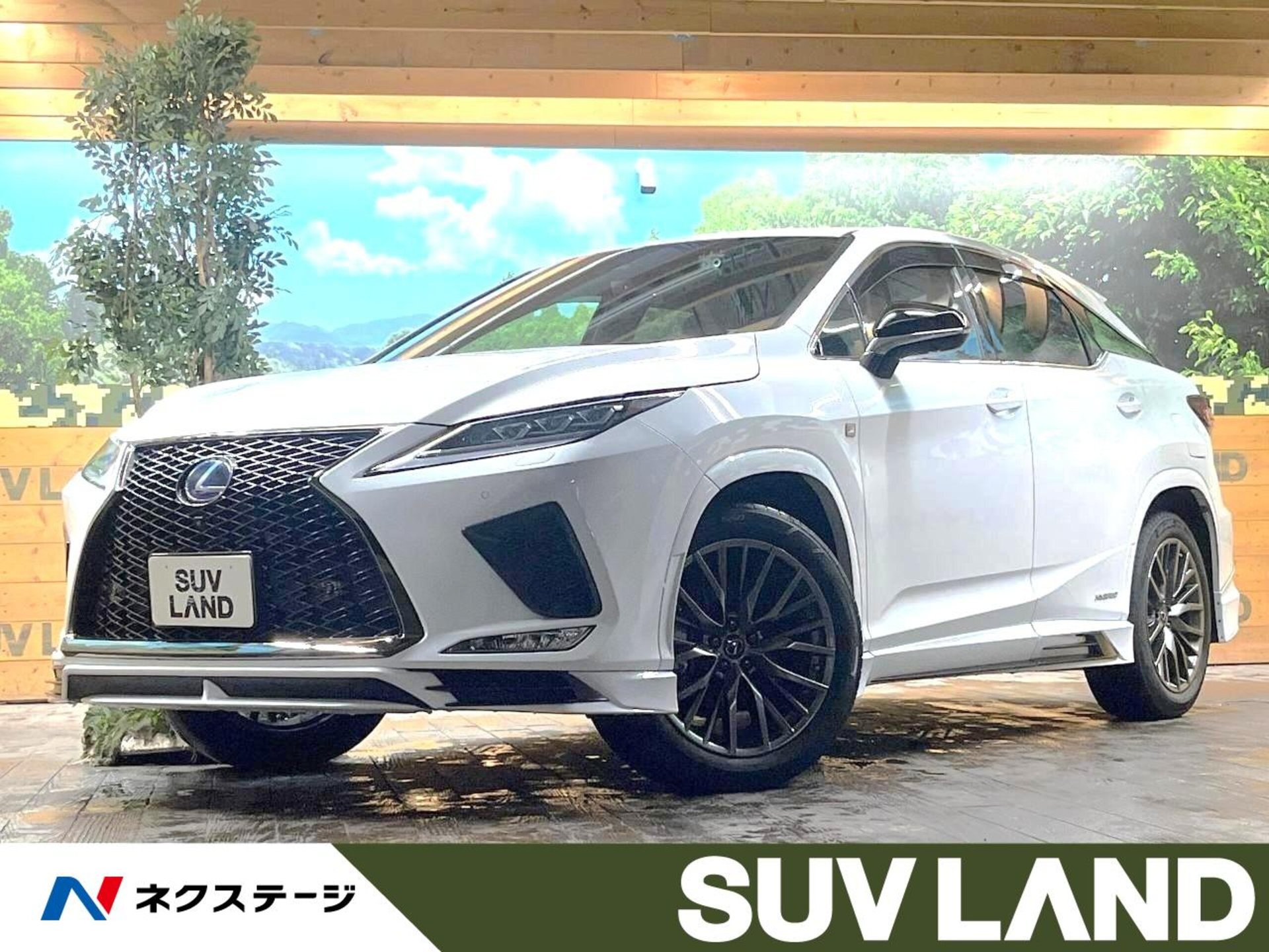 LEXUS RX - View 1