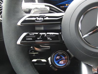 2025 Mercedes-BENZ GT AMG 缩略图 61