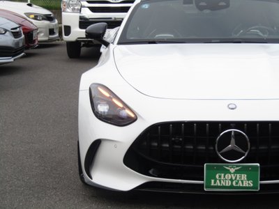 2025 Mercedes-BENZ GT AMG 缩略图 18