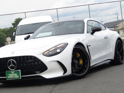 2025 Mercedes-BENZ GT AMG 缩略图 15