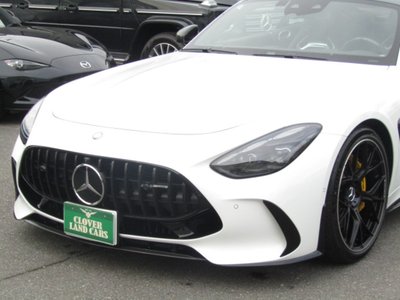 2025 Mercedes-BENZ GT AMG 缩略图 21