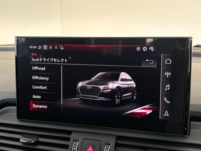 2025 AUDI Q5 SPORTBACK thumbnail 41