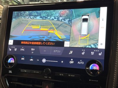 2025 TOYOTA ALPHARD photo 9